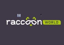 Як ми за три роки зі стартапу зробили бізнес: досвід Raccoon.World