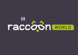 Як ми за три роки зі стартапу зробили бізнес: досвід Raccoon.World