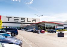 Екоактивісти програли Tesla: компанія вирубає 92 гектари лісу, щоб побудувати завод під Берліном
