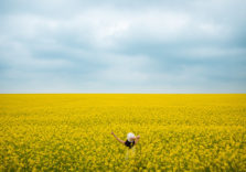Опубліковано ТОП-10 аграрних онлайн-видань України від PRNEWS.IO
