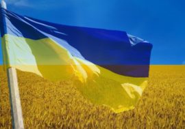 «Купуй українське!», – твоя можливість підтримати українського виробника під час пандемії коронавірусу.