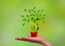 Дмитро Дубілет буде інвестувати в українські бізнеси від $ 50 тис. Умови співпраці