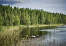 10 найбільш екологічно чистих країн світу на думку експатів