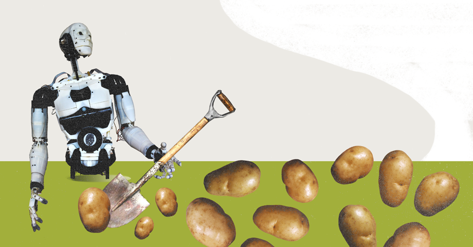 «Копаючи картоплю, ви час від часу викопуєте ту, яку садив ще ваш батько і дід. Це legacy-код». Пояснюємо ІТ-терміни на прикладі садіння картоплі - tech, developers, news, career