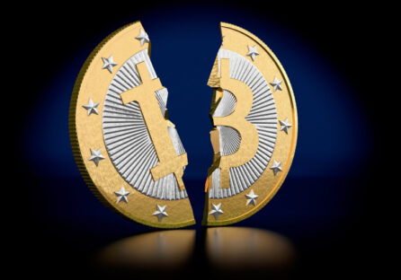 Біткоїн і Bitcoin Cash: відмінності, переваги та прогнози на майбутнє