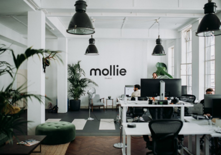 Нідерландський стартап Mollie став третьою за величиною фінтех-компанією в Європі