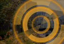 Оголошені стартапи-переможці 34-го і 35-го Pitch Day