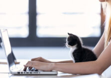 Три тренди, які визначать ринок праці у 2022 році