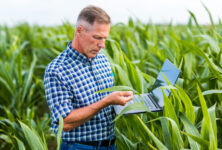 Як агробізнесу порахувати втрачений прибуток? Новий безкоштовний інструмент